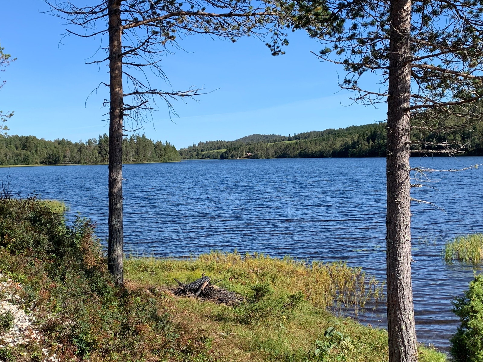 Bademuligheter ved langvatnet Galleribilde