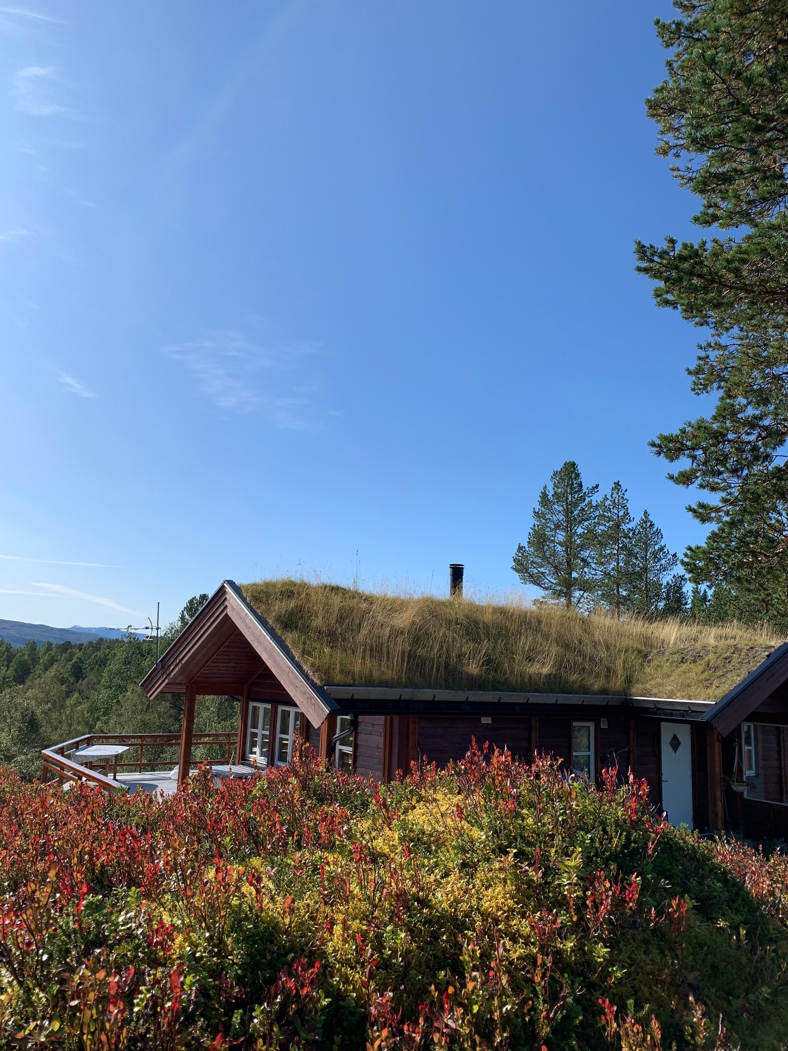 Høstfarger Galleribilde