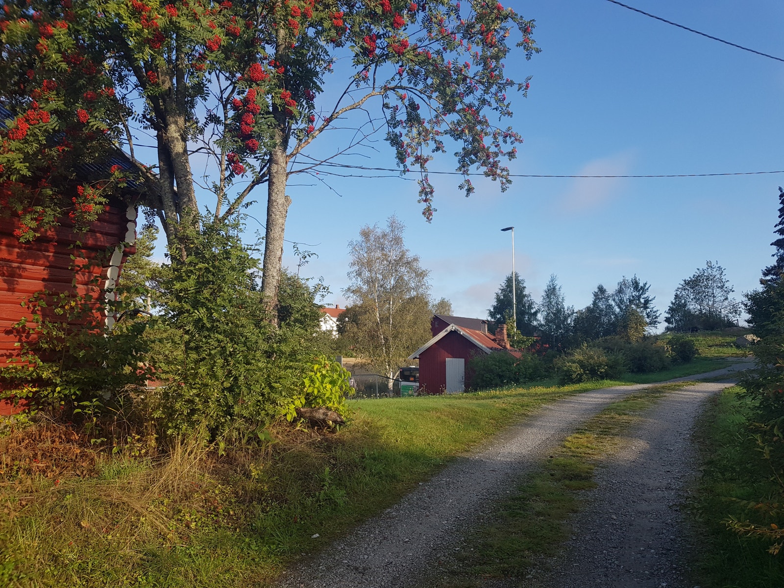 Innkjøringen opp til huset Galleribilde