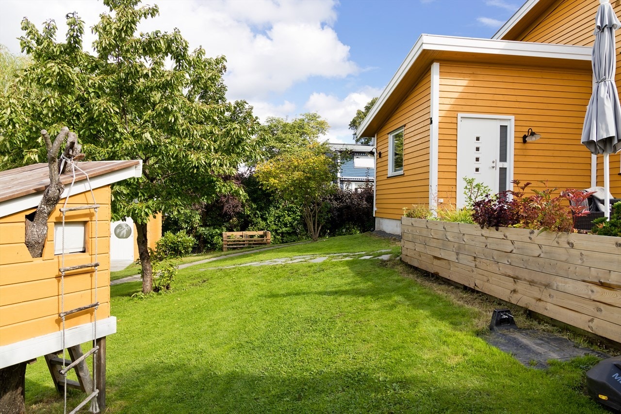 Mye gressplen på tomten, samt litt epletrær og busker. Galleribilde