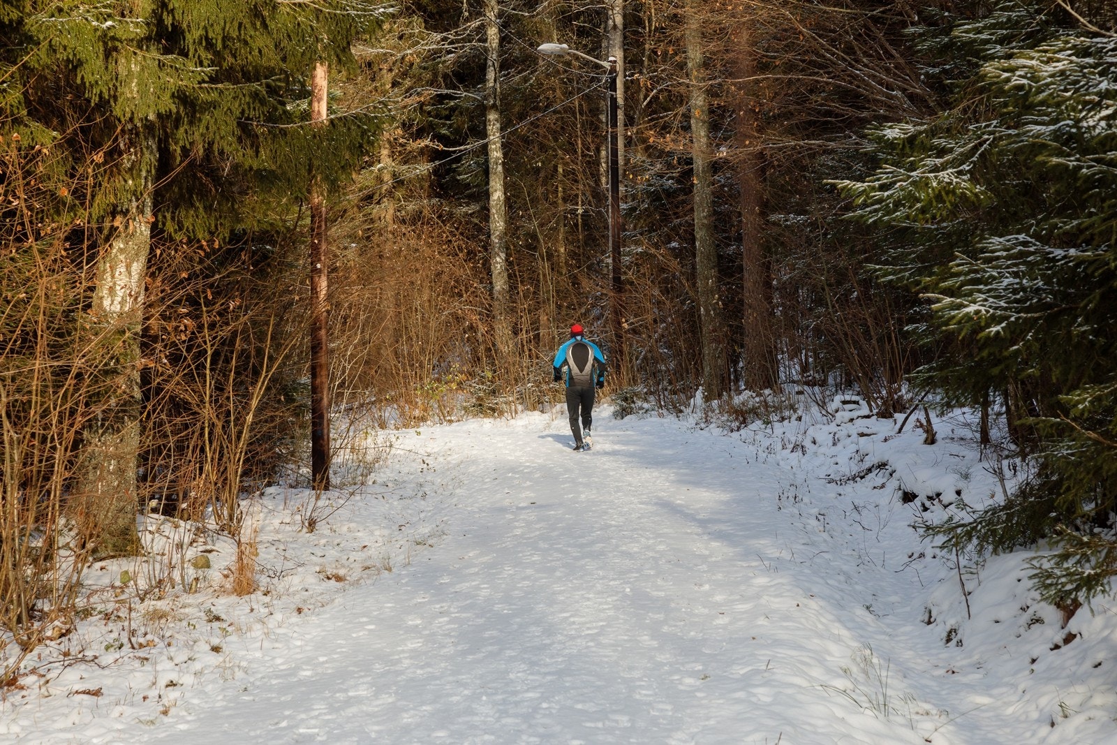 Grønliåsen lysløype Galleribilde