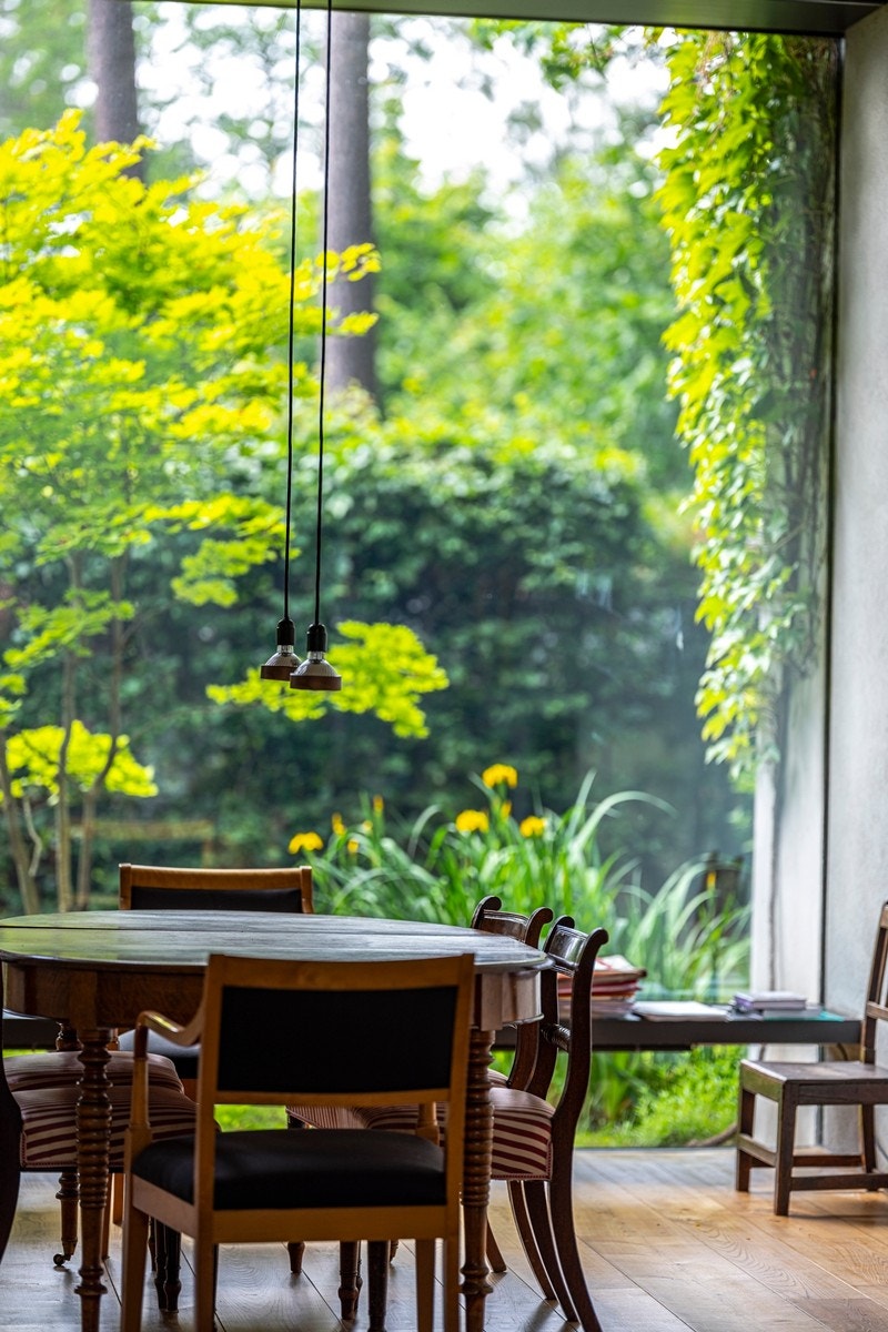 Fantastisk utsyn mot hagen med villvinen som vokser seg rundt vinduet Galleribilde