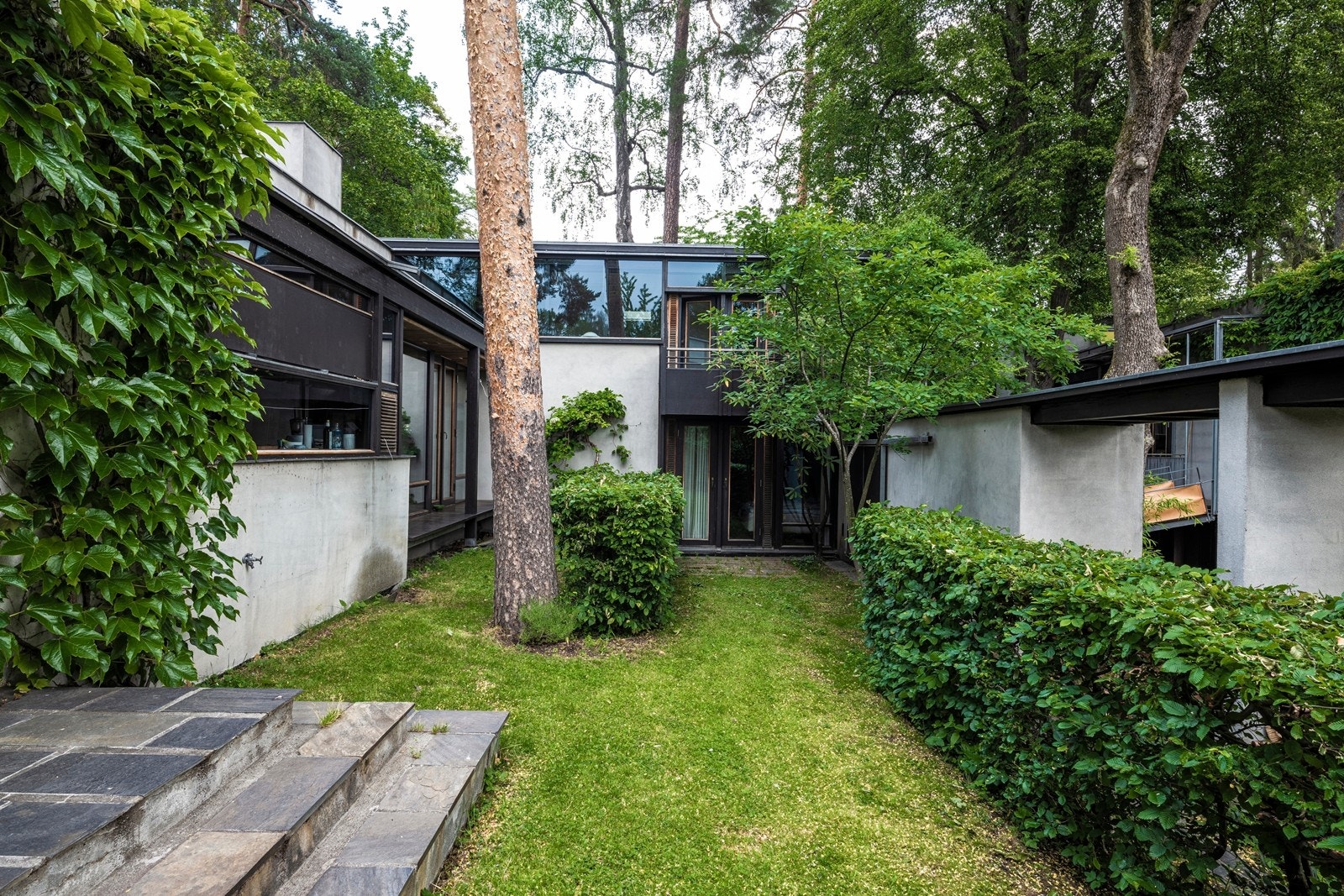 Husets atrie med et flott og furutre i midten Galleribilde