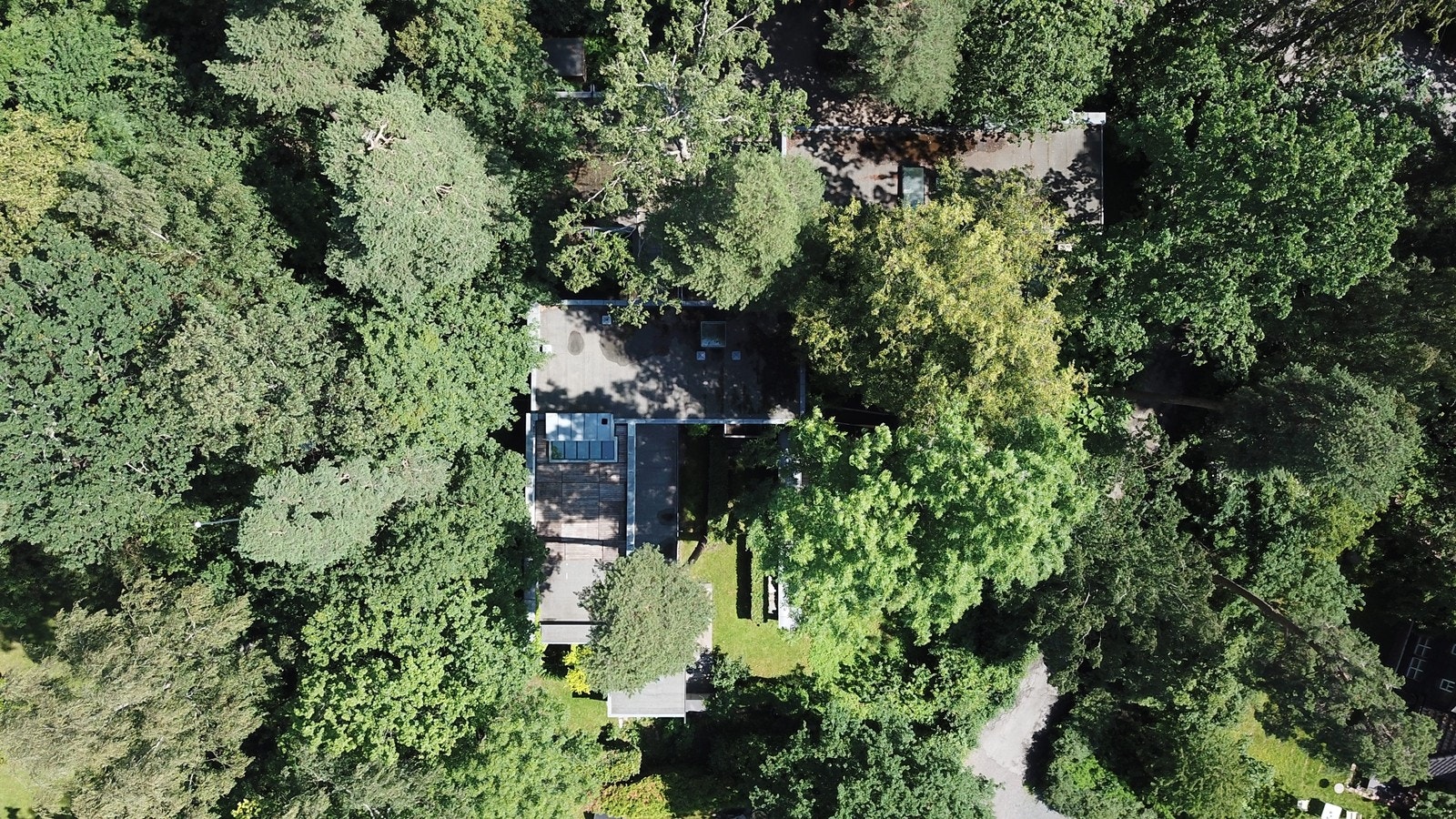 Begge husene er L-formet rundt de store trærne for å bevare tomtens egen vegatasjon Galleribilde