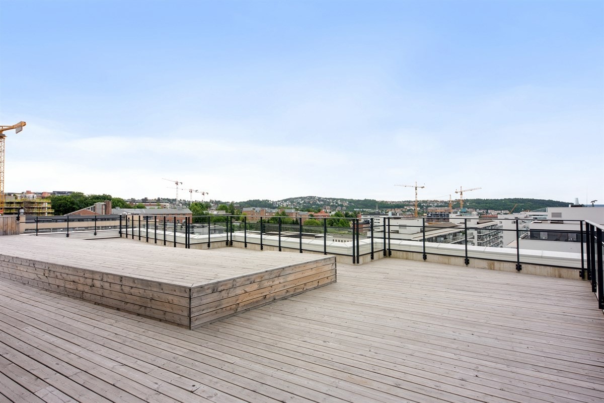 Stor felles takterrasse. Galleribilde