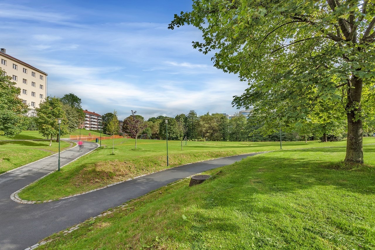 I parken kan man nyte lange sommerdager. Galleribilde