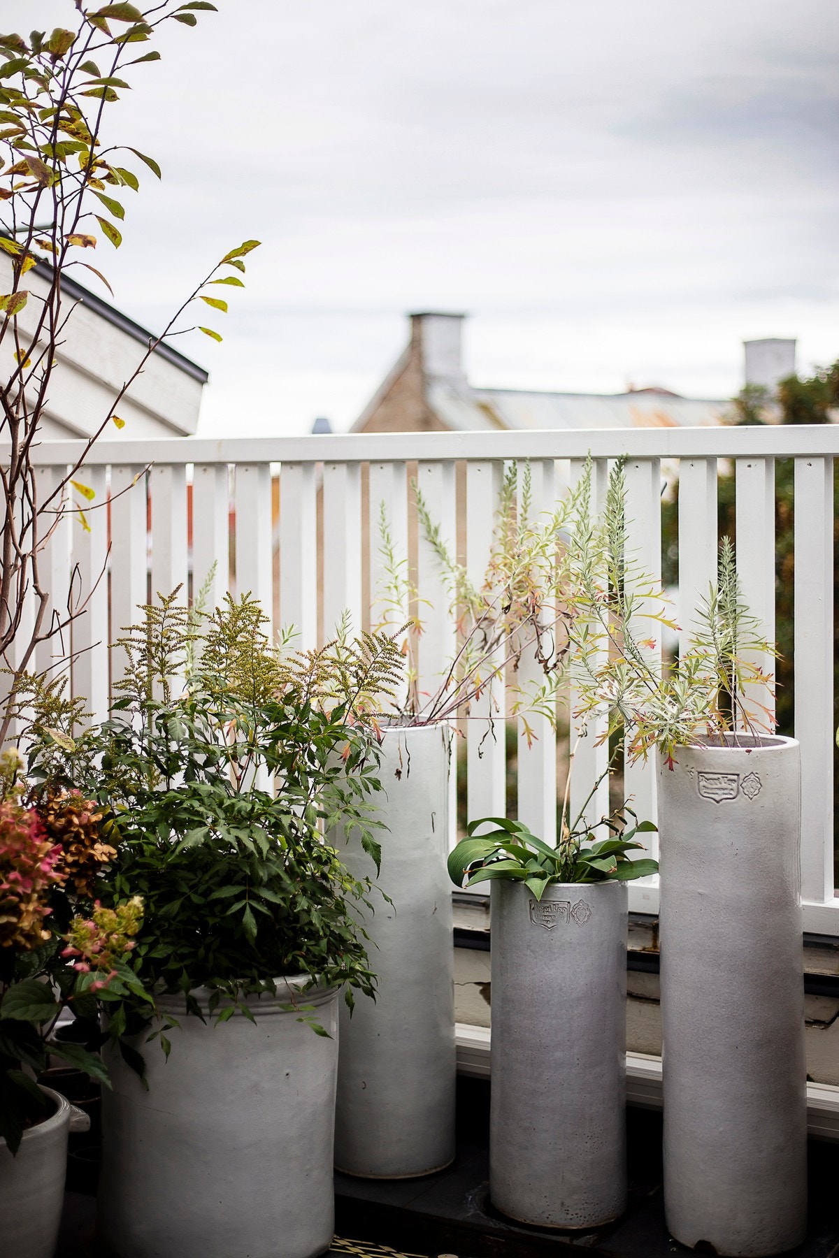 Her sitter du helt lunt og usjenert mellom husveggene på toppen av bygget. Galleribilde