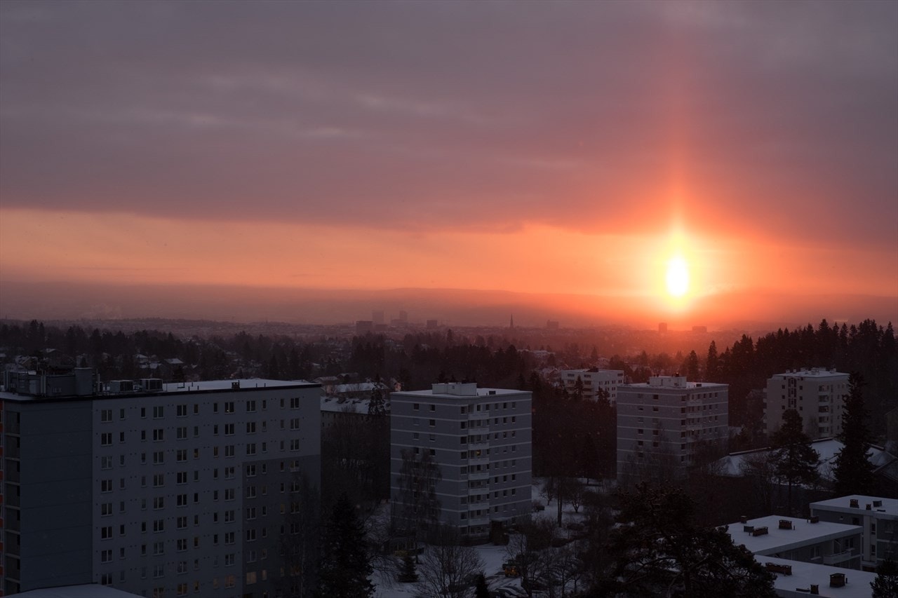 Privat bilde Galleribilde