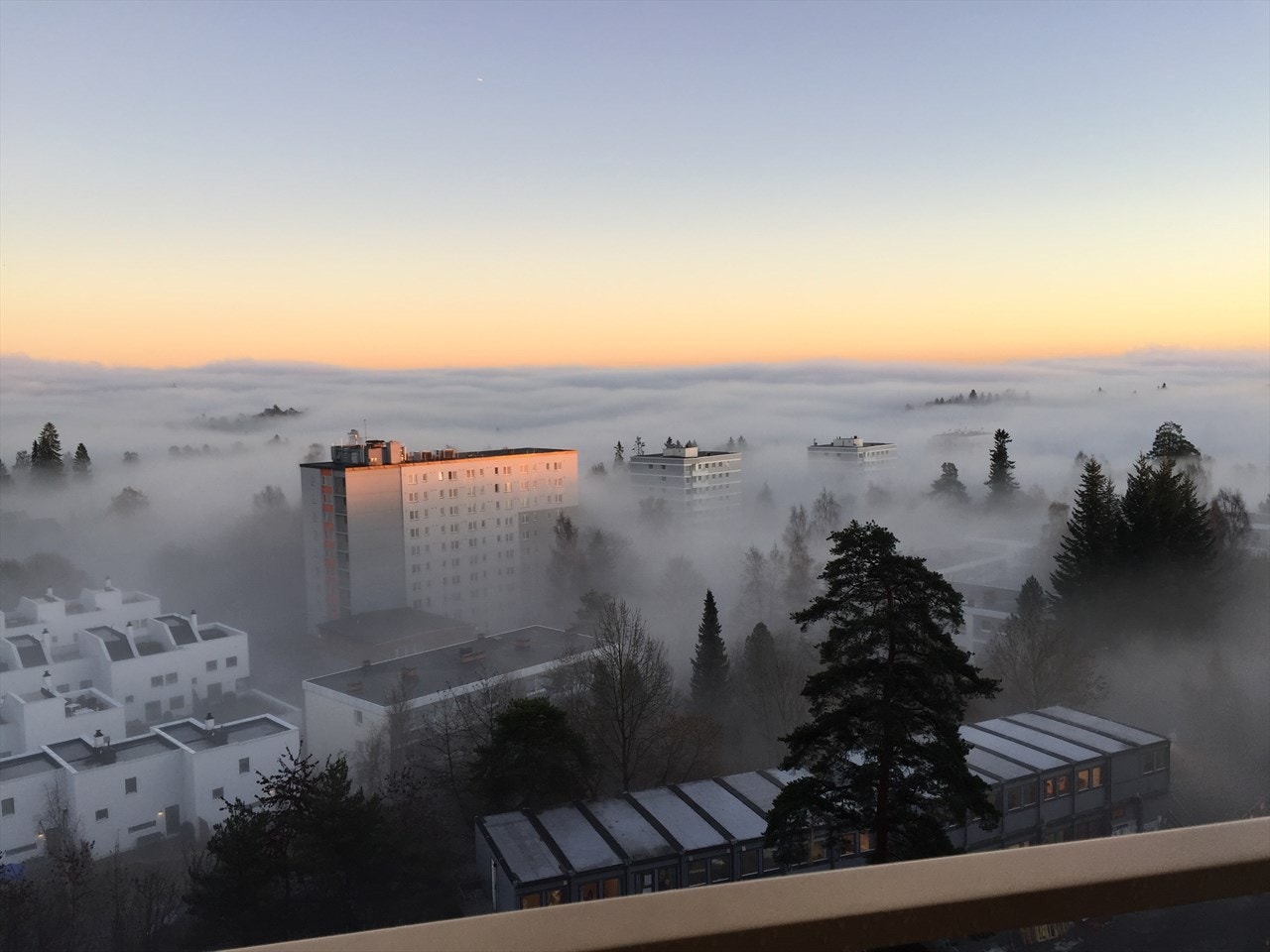 privat bilde Morgendis Galleribilde