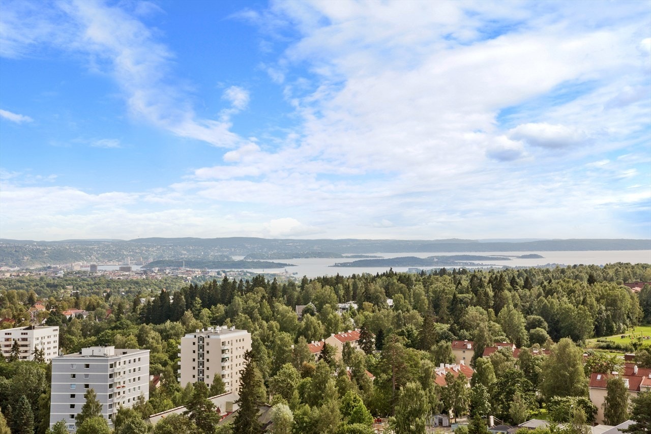 utsikt fra felles takterrasse Galleribilde
