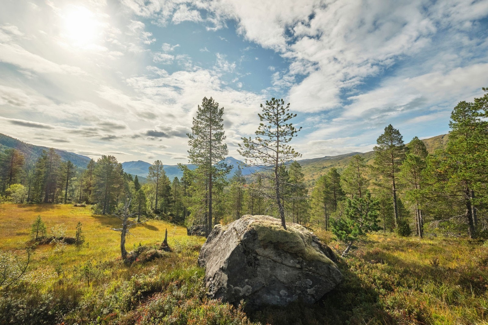 utsikt 5 Galleribilde