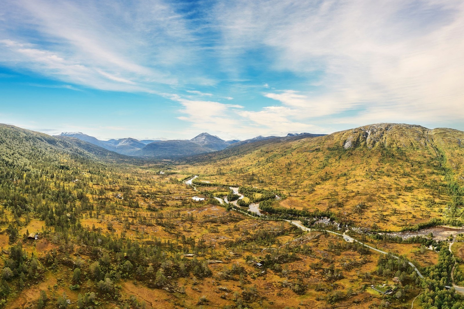 oversikt 5 Galleribilde