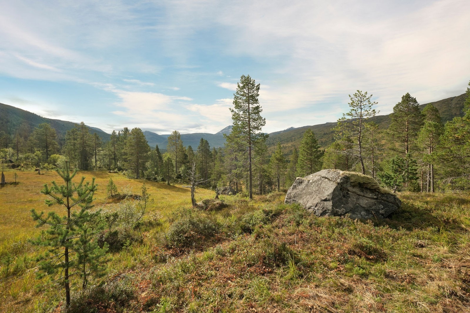 utsikt 3 Galleribilde