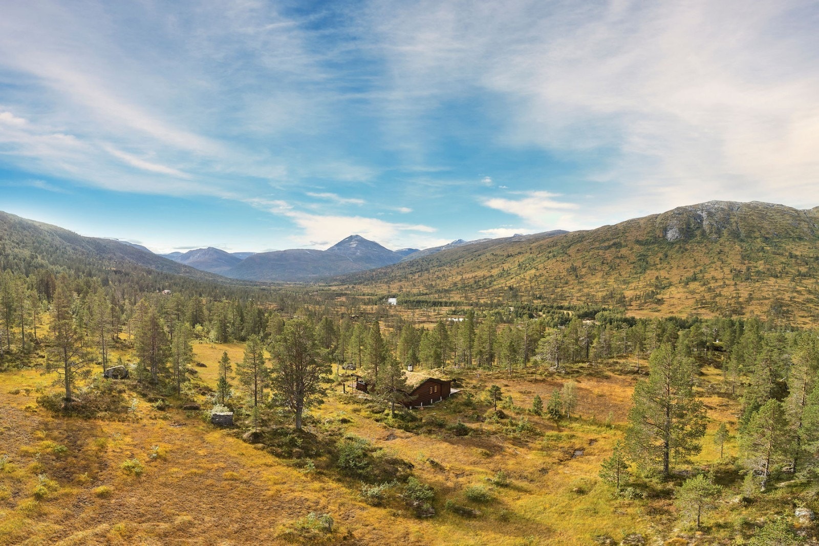oversikt 3 Galleribilde