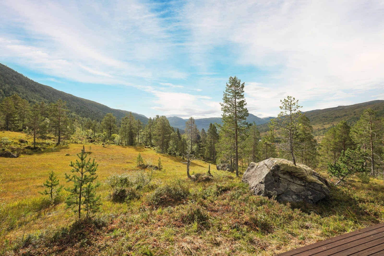 utsikt 2 Galleribilde