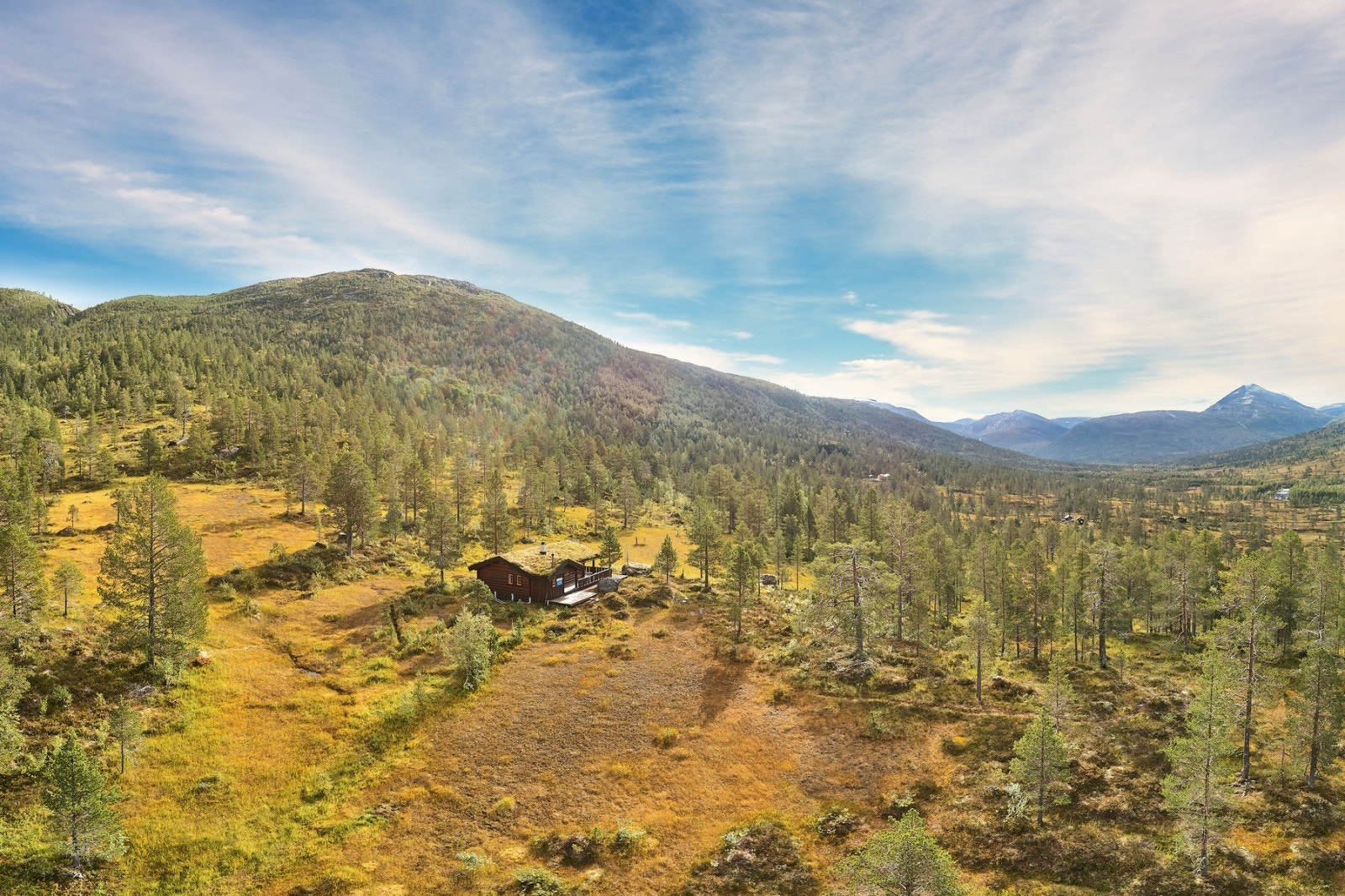 oversikt 2 Galleribilde