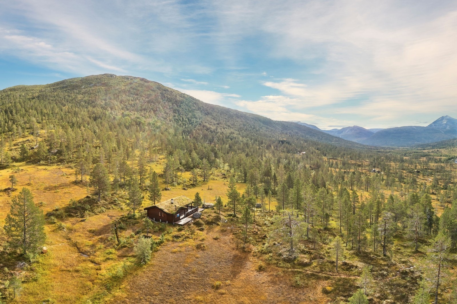 oversikt 4 Galleribilde