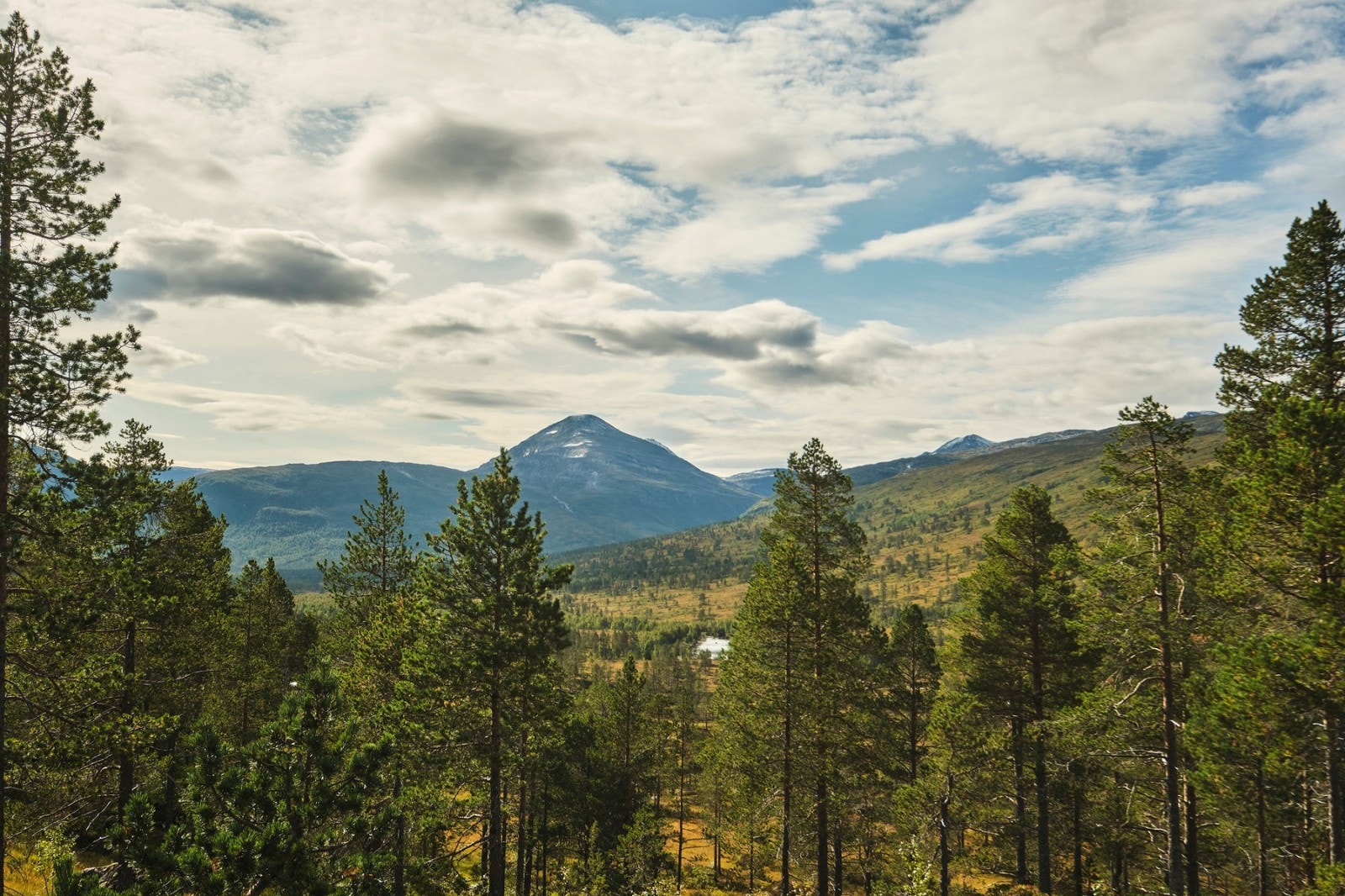 utsikt 4 Galleribilde