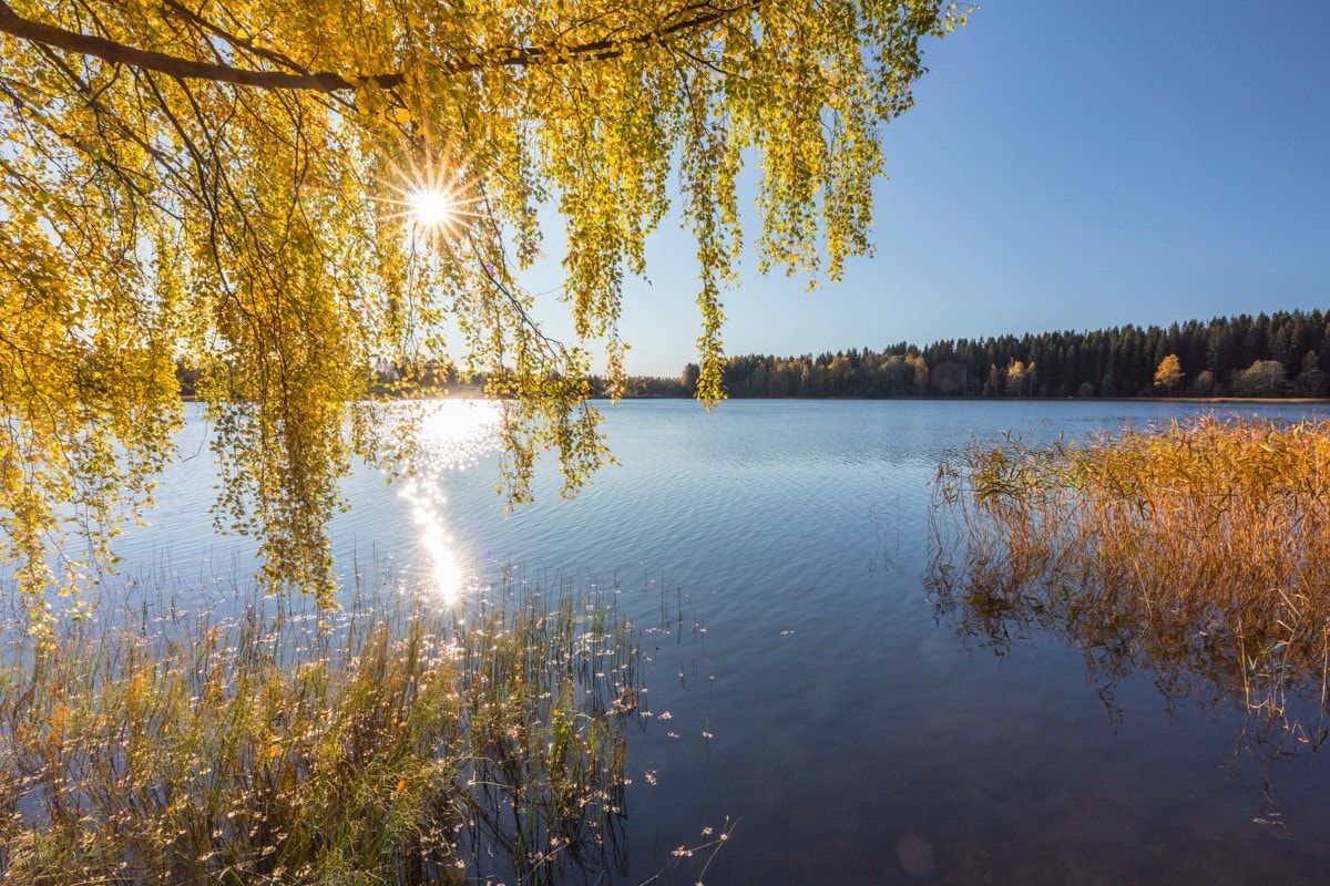 Like ved byen finnes det tre badevann, nærmest er Nordbykjernet, kun 1 km utenfor sentrumskjernen. Her finnes badeplasser og flotte turstier til bruk året rundt. Galleribilde