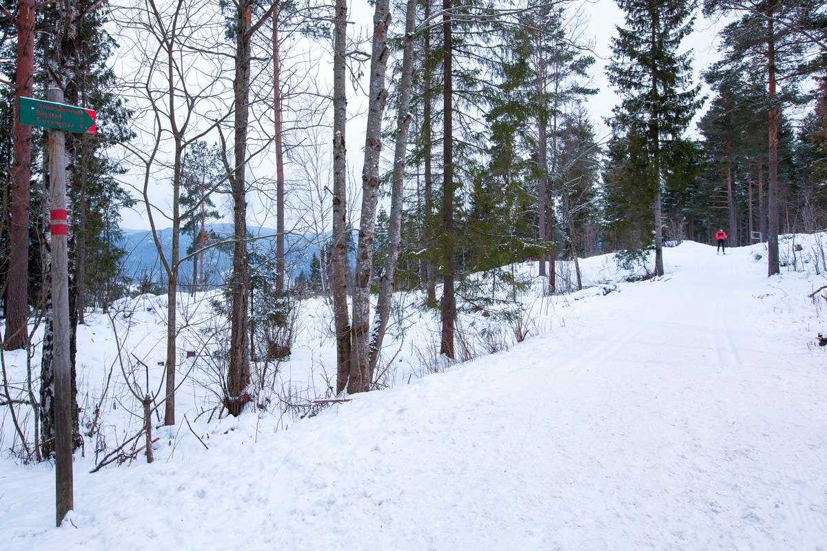 Skiløyper i området som fører deg videre inn i Marka. Galleribilde