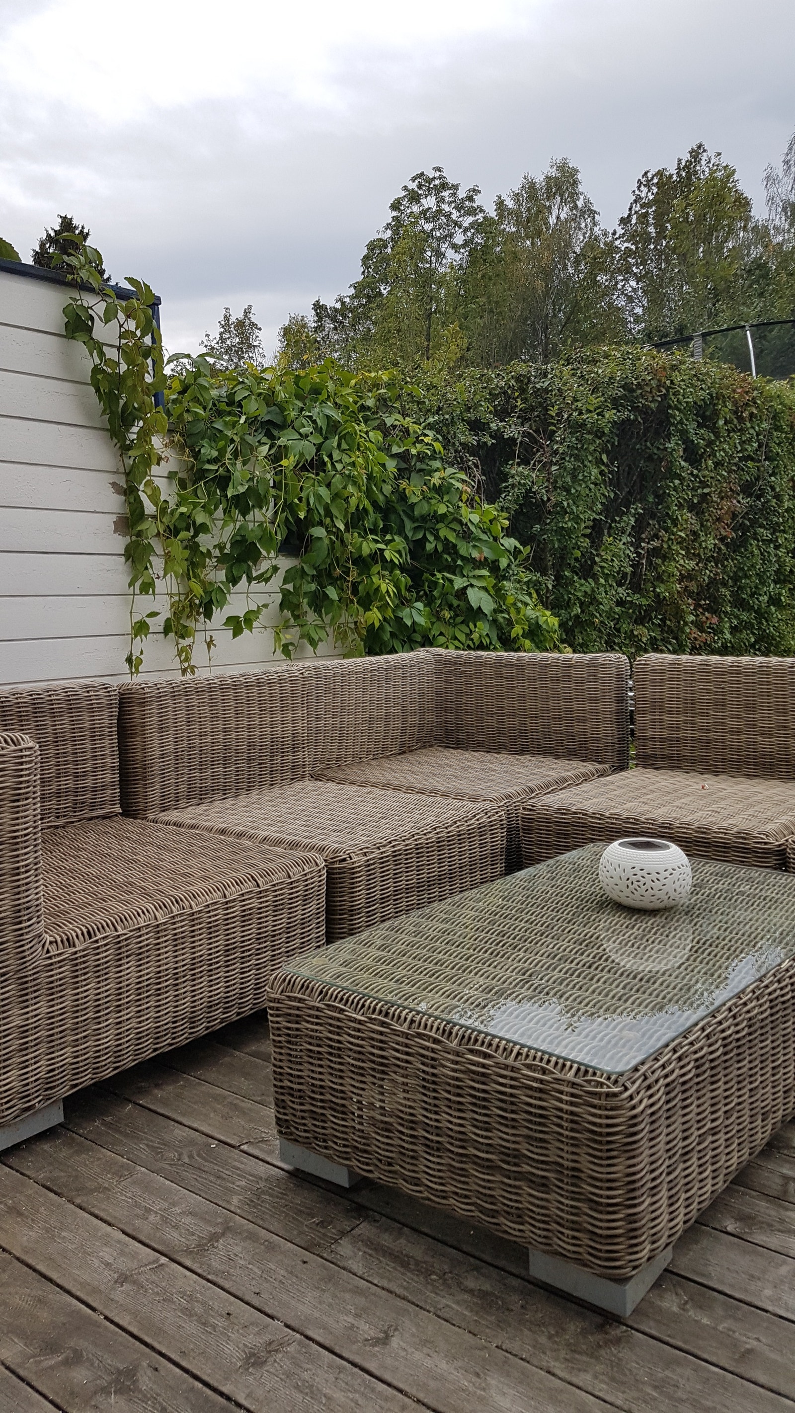 Deilig usjenert hage med sol hele dagen og kveld Galleribilde