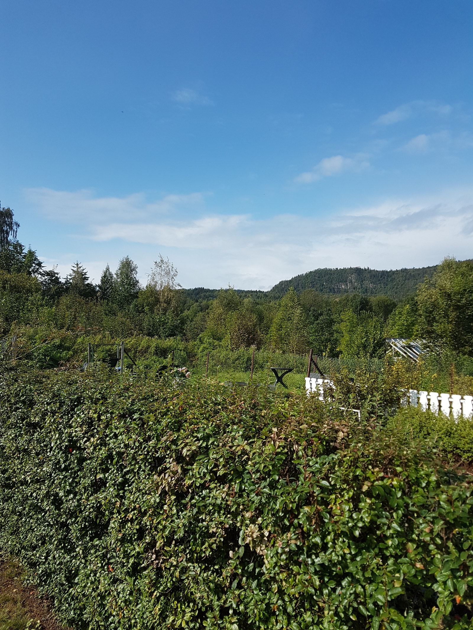 Utsikt fra hagen, kveldssol til sola går ned Galleribilde