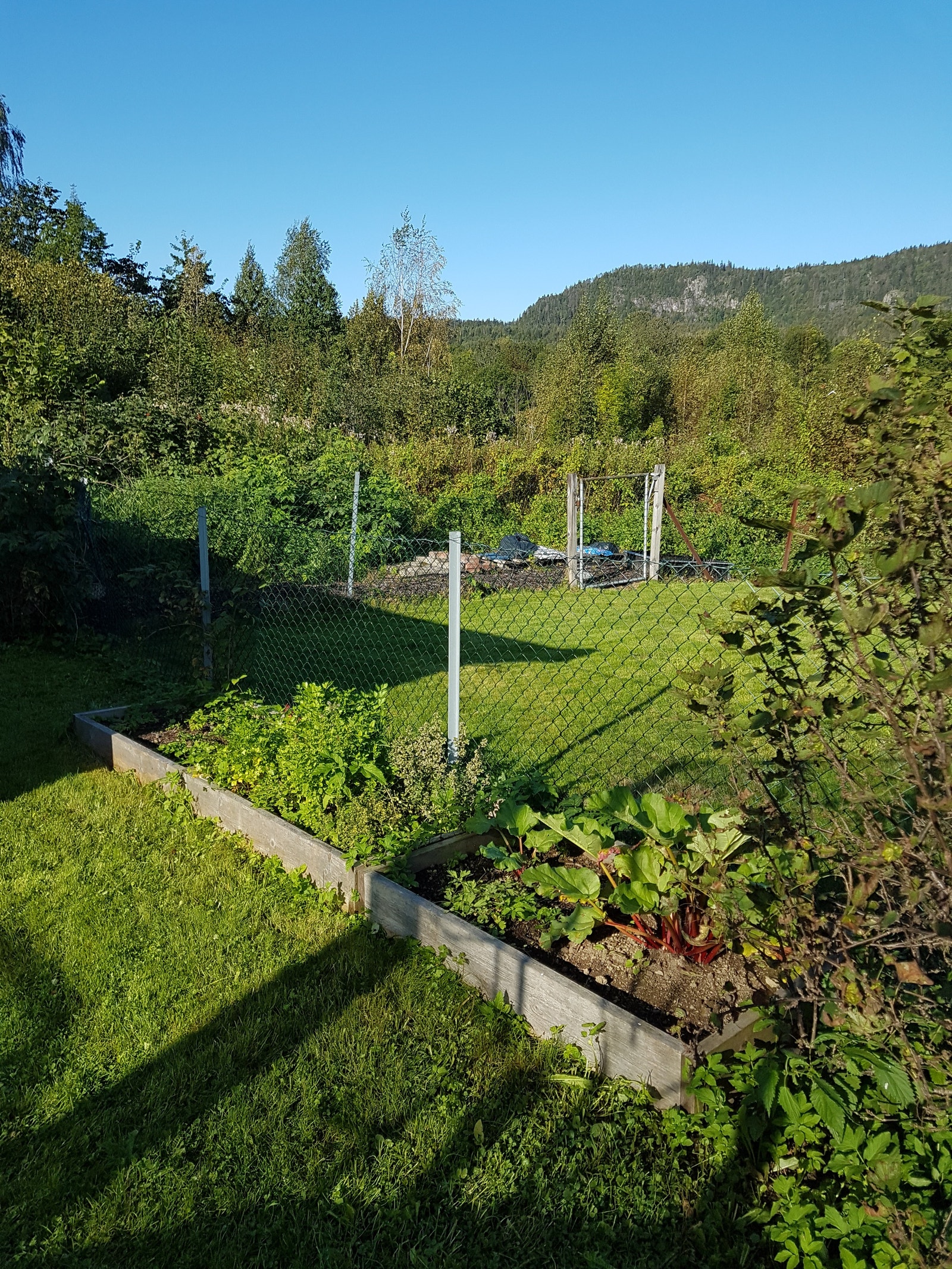 Mulighet for en liten kjøkkenhage Galleribilde