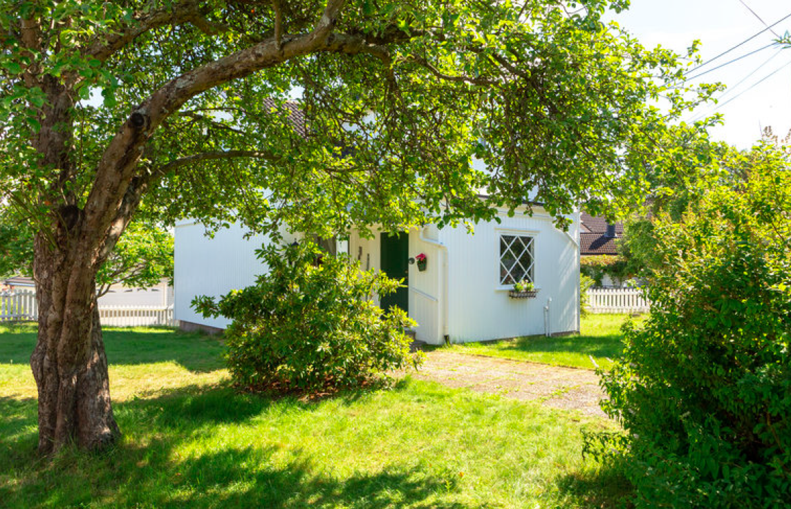 Deilig hage med frukttrær, busker, trær og plen Galleribilde