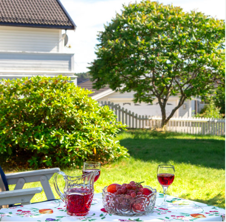 Nydelig sommerdag med saft og jorbær Galleribilde