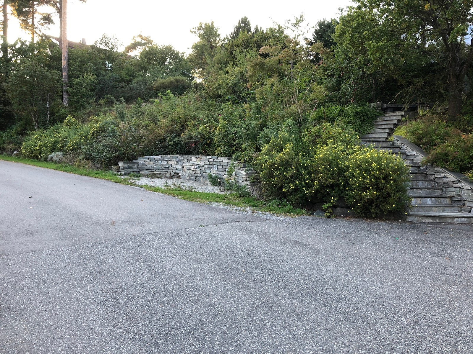 parkeringsplass Galleribilde