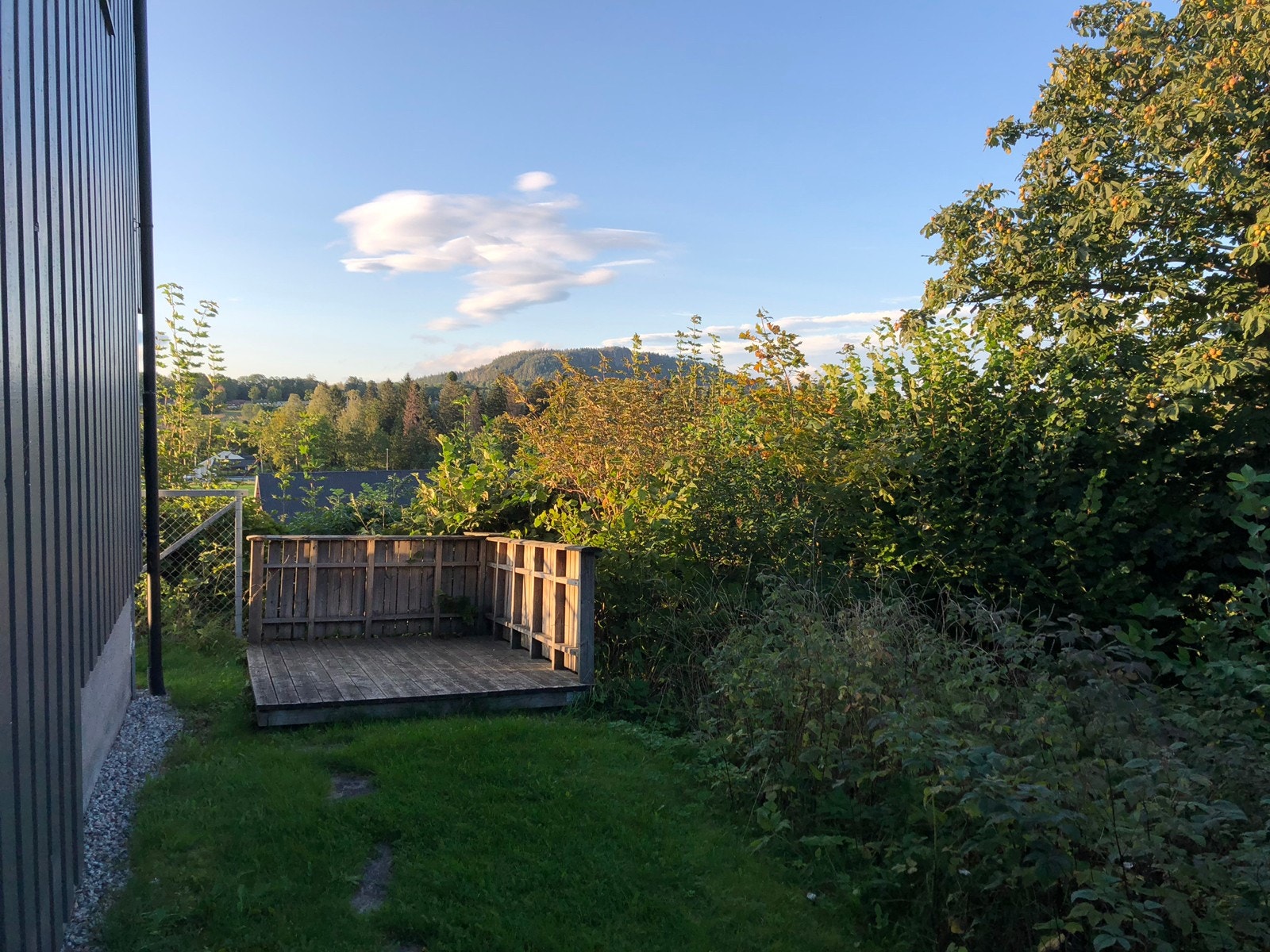 terrasse Galleribilde