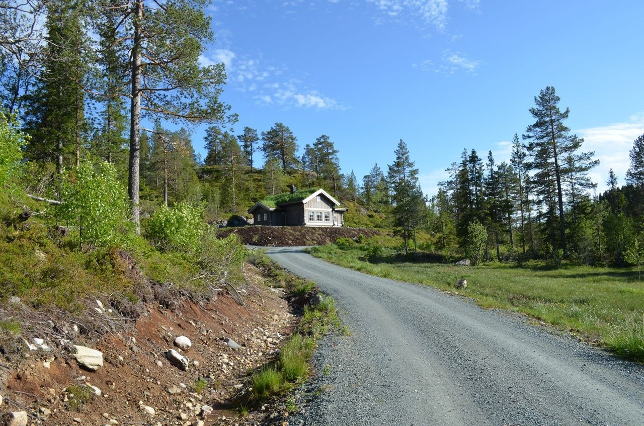 Veien inn til hyttefeltet. Det er kun noen hundre meter til kommunal vei. Her trenger en ikke 4 x 4 for å komme fram med bil. Galleribilde