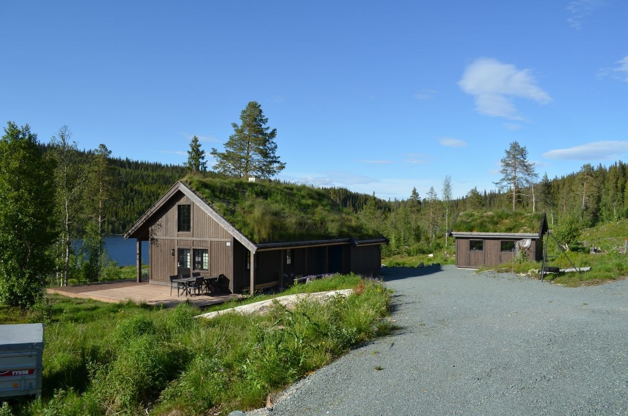En hytte i hyttefelte Galleribilde