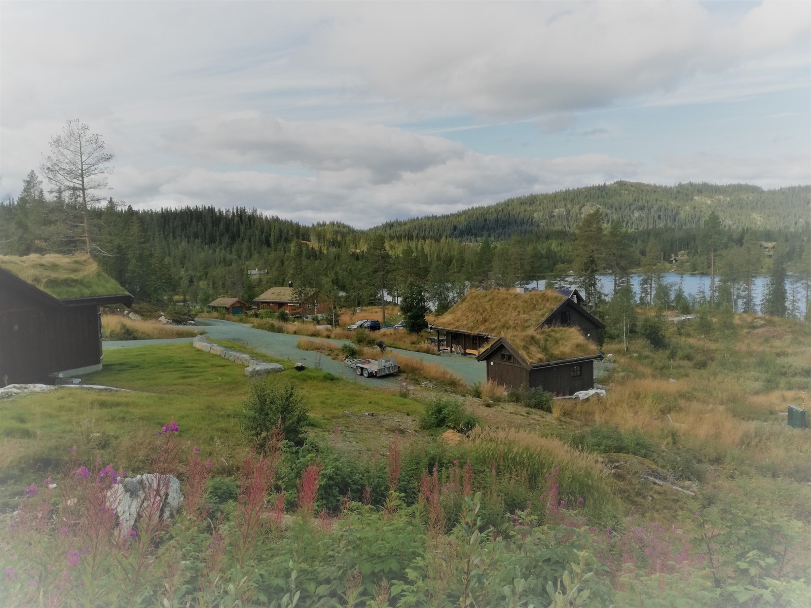 Foto tatt fra en av de ledige hyttetomtene i hyttefeltet Galleribilde