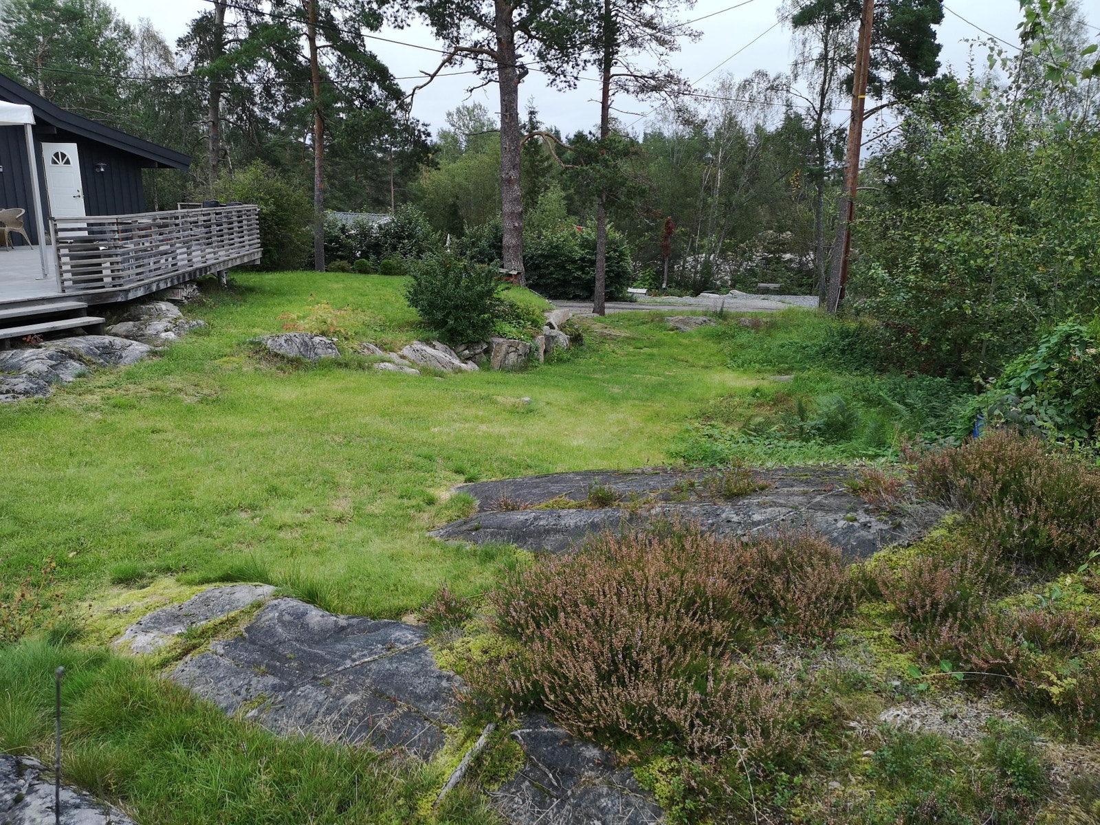 Tomt Galleribilde