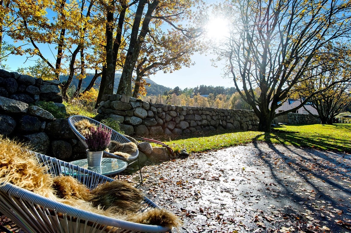 _JRB8885 Galleribilde