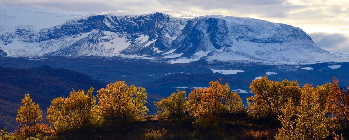 Hallingskarvet ser du fra alle tomtene. Her er det zooma inn. (Foto: Brye, Ål) Galleribilde