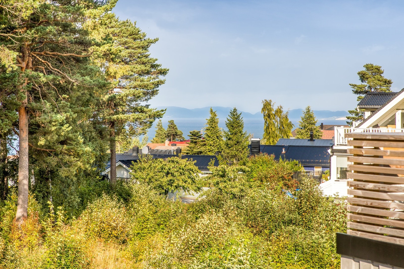 Fjordutsikt fra veranda. Galleribilde