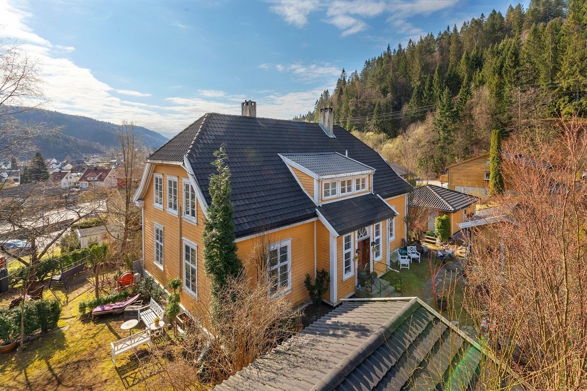 Stor solrik tomt. Galleribilde