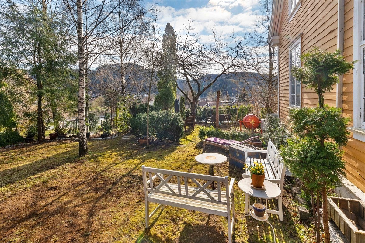 Stor solrik tomt Galleribilde