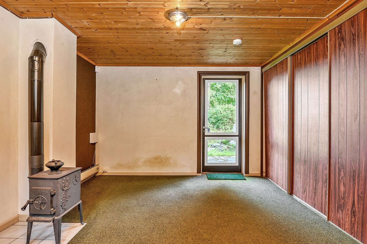 Kjellergang med vedovn og utgang til tomten. Galleribilde