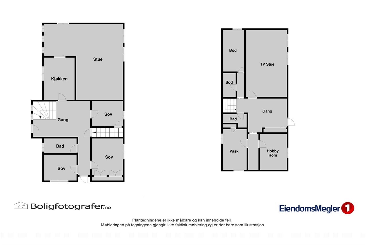 Samle plantegnig Galleribilde