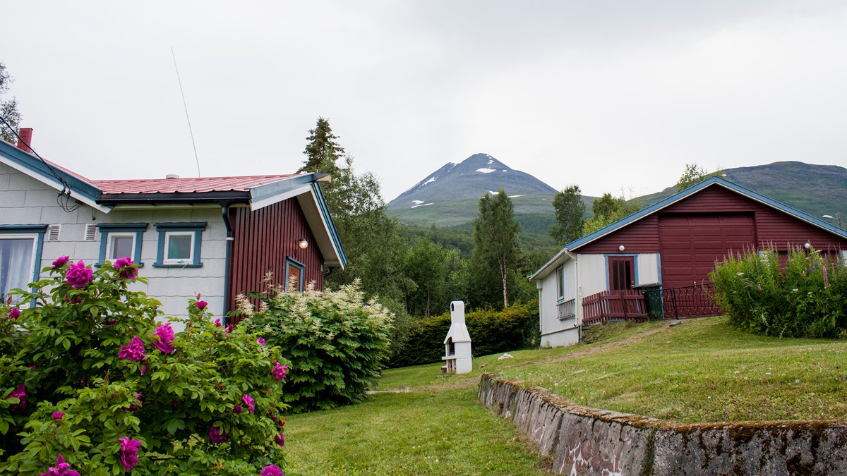 Tomt er godt opparbeidet med plen, samt fine nytte- og prydvekster