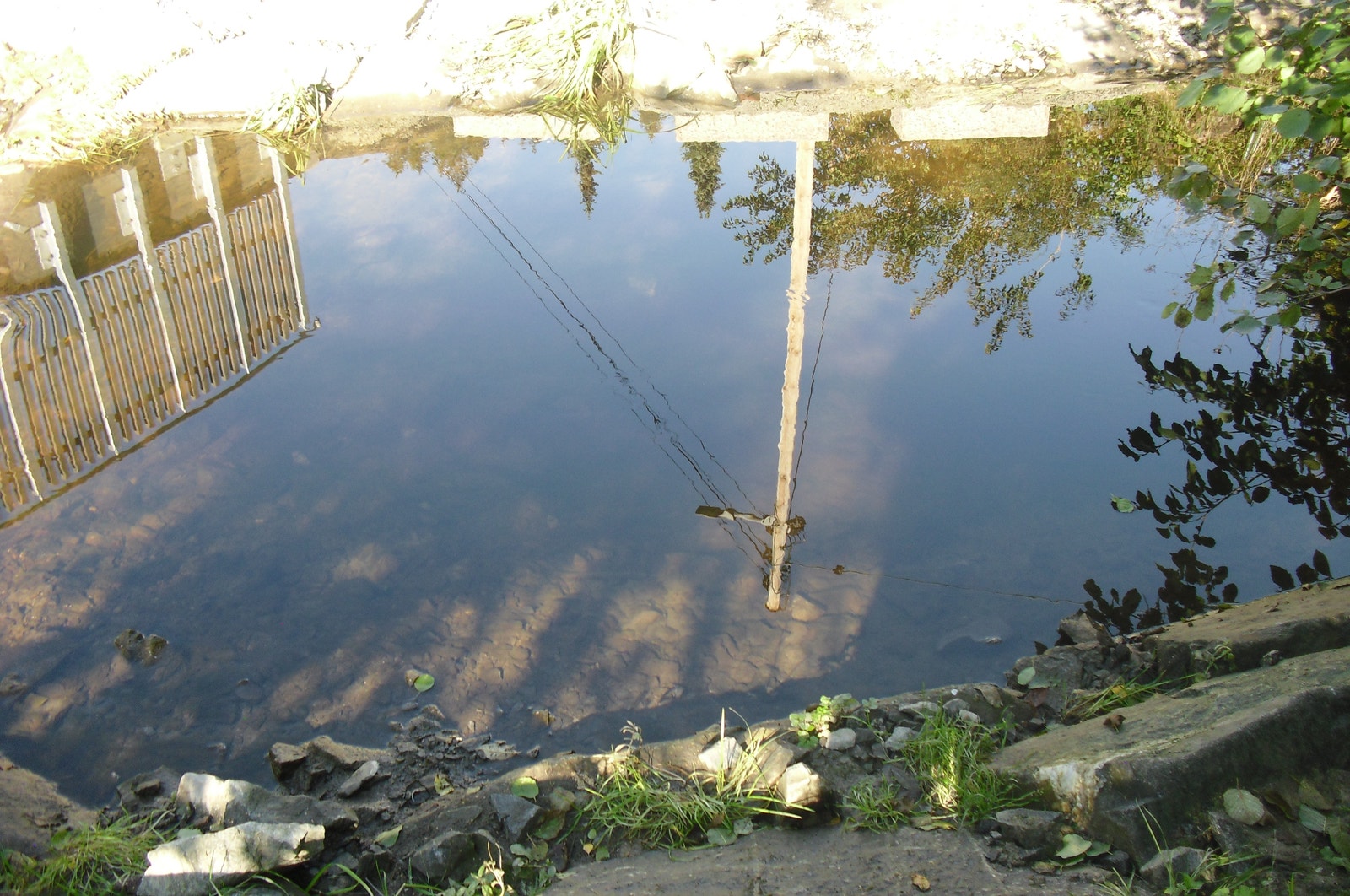 Dam hvor man kunne se fisken vake etter at bror min hadde satt ut settefisk Galleribilde