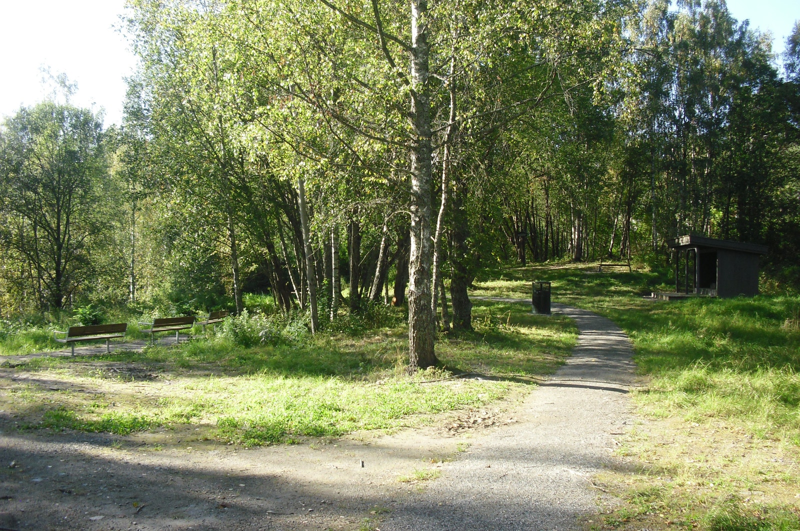 Miljøparkens samlingsområde Galleribilde