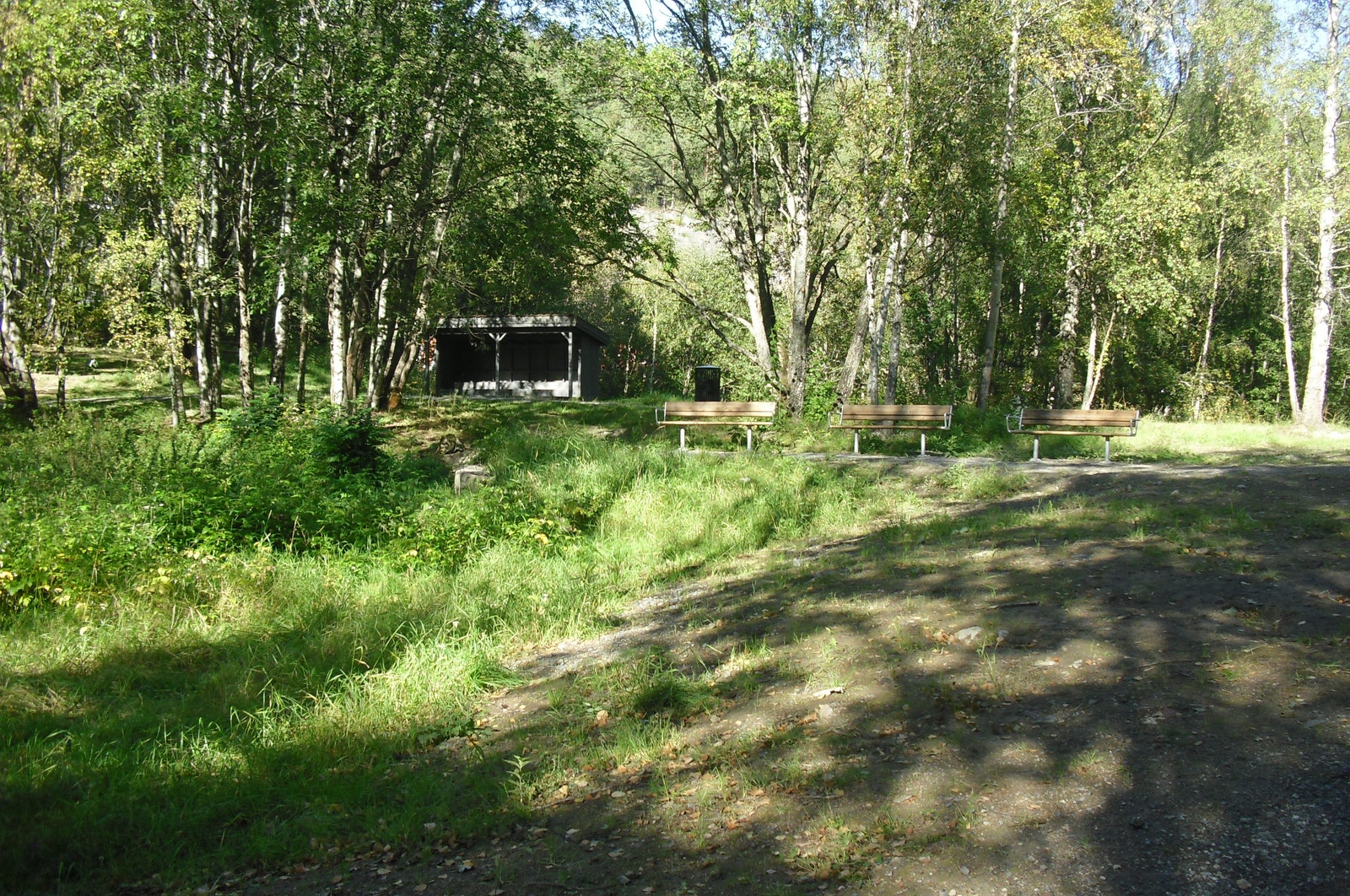 Rasteplass Galleribilde