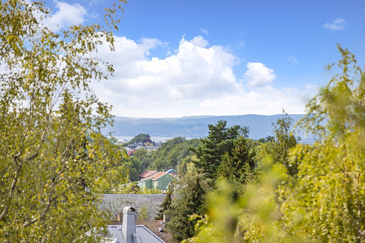 Utsikt mot havet. Galleribilde