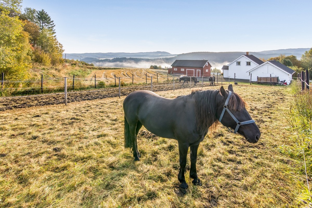 Den innholdsrike tomten måler hele 2425,3 kvm, hvor deler av eiendommen er inngjerdet. Galleribilde