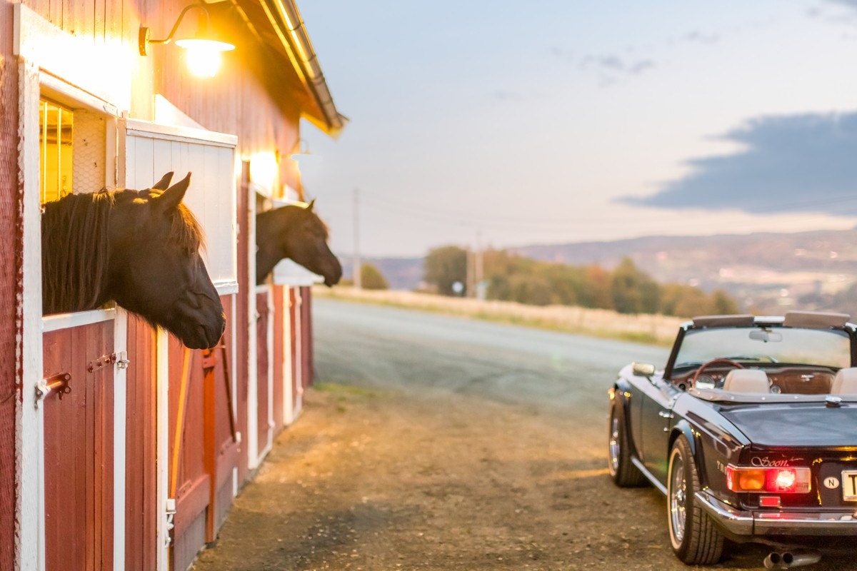 Stallen, som måler ca. 50 kvm, ble renovert i 2009, og tre stallbokser m.m. Galleribilde