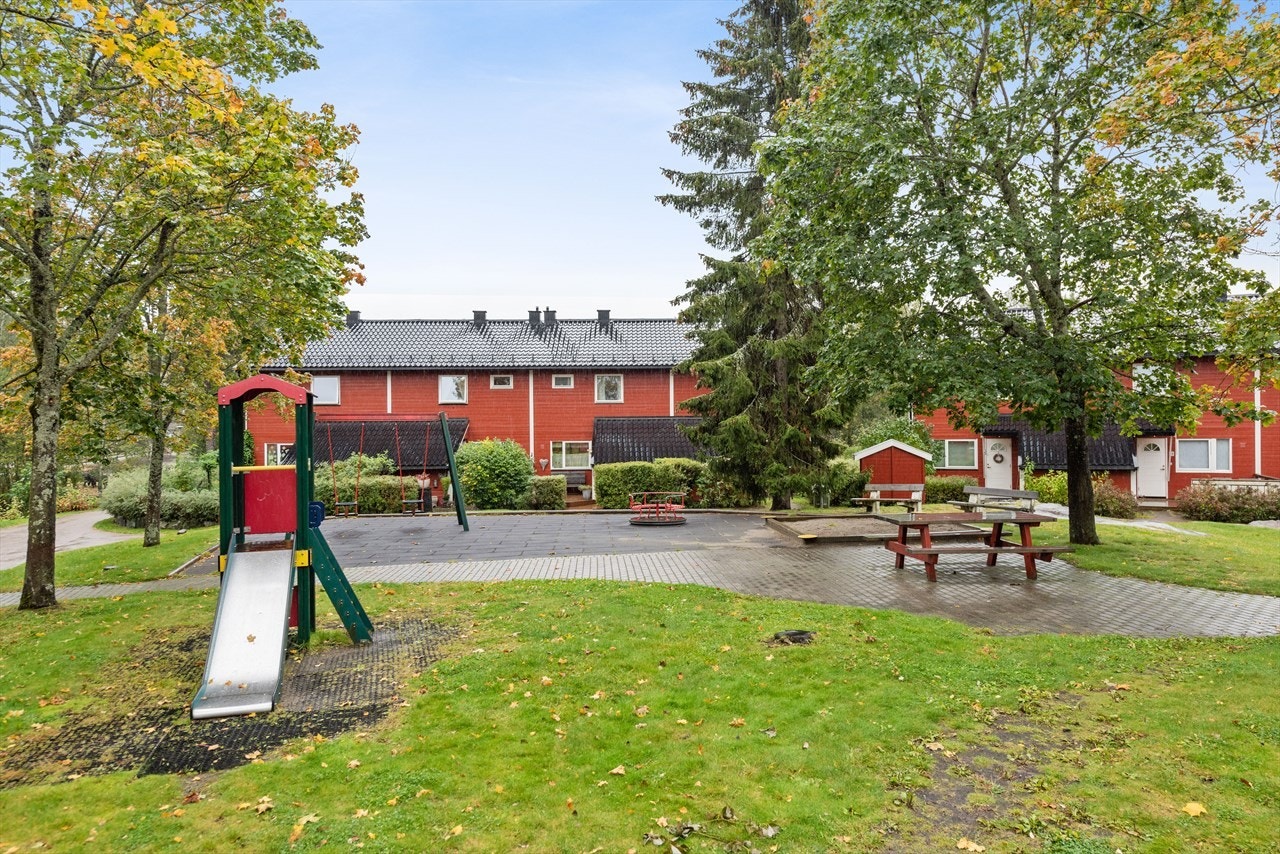 Pent opparbeidede fellesarealer i grønne omgivelser. Galleribilde